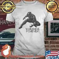 Marvel heroes black panther chadwick rip wakanda forever shirt