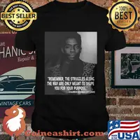 Remember the struggles along the way are only meant to shape you for your purpose rip chadwick black panther 1976 2020 shirt