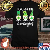 HERE FOR THE SHENANIGANS ST PATRICKS DAY GNOMES SHIRT