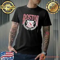 Vintage Boston Red Sox Baseball Established 1901 shirt