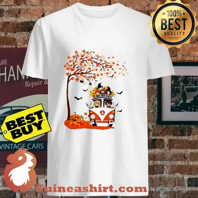 Harry Potter hippie chipi Autusm Halloween shirt