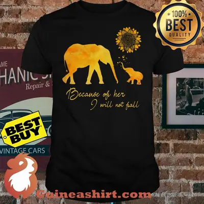 Elephant Flower Because Of Her I Will Not Fall shirt