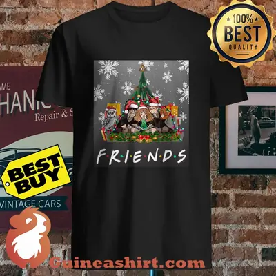 Friends Harry Potter Hermione And Ron Weasley Christmas Owl shirt