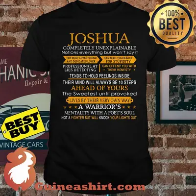 Joshua completely unexpplainable a warrior's mentality with a poet's soul shirt