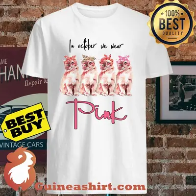 In October we wear pink cats awareness shirt