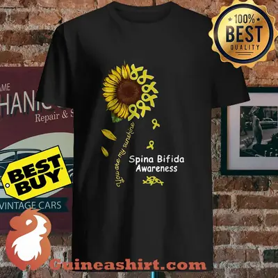 Spina Bifida Awareness you are my sunshine sunflower shirt