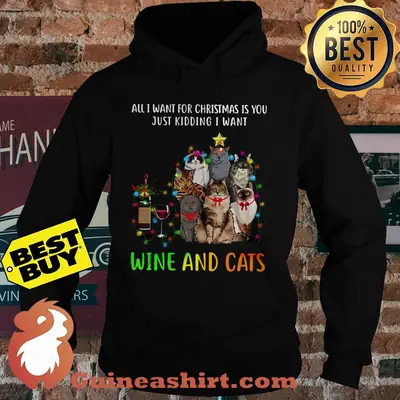 All I want for Christmas is you just kidding I want Wine and Cats hoodie