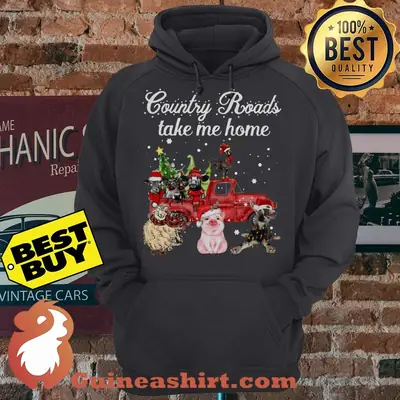 Country Roads Take Me Home Car Animals Christmas hoodie