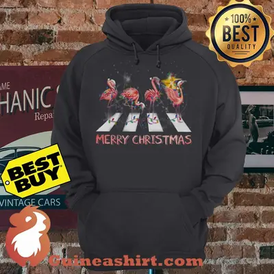 Flamingo Light Star Merry Christmas hoodie