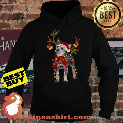 Santa Heeler Gorgeous Reindeer Light Christmas hoodie