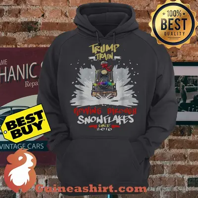 Trump train 2020 plow through Snowflakes since 2016 Christmas hoodie