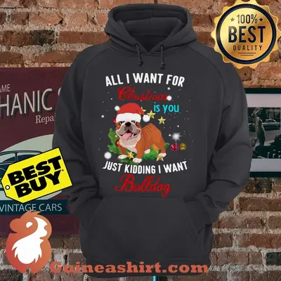 All I Want For Christmas Is You Just Kidding I Want Bulldog hoodie
