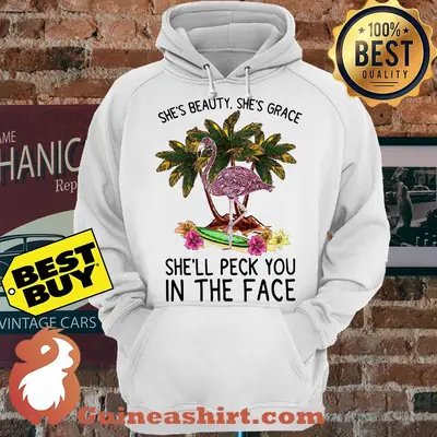 Flamingo She's Beauty She's Grace She'll Peck You In The Face hoodie sweater