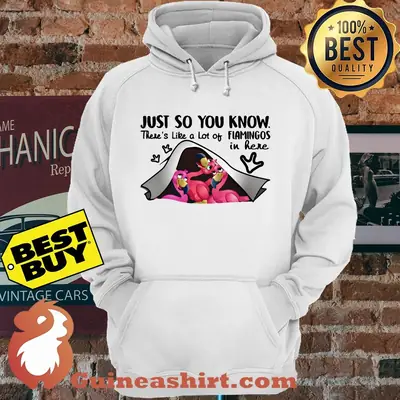 Just So You Know There's Like A Lot Of Flamingos In Here hoodie sweater
