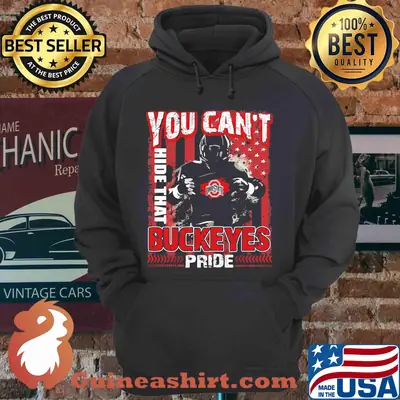 You Can't Hide That Ohio State Buckeyes Pride American Flag shirt