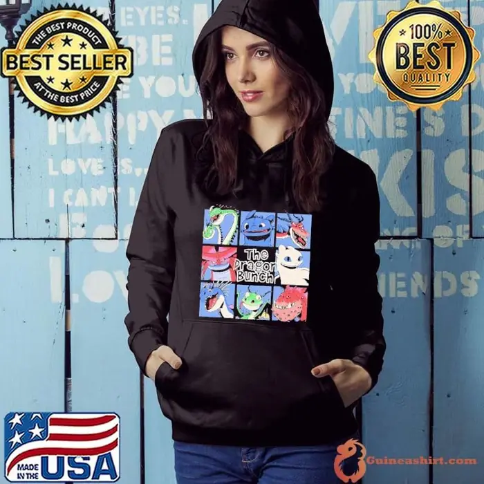 How to Train Your Dragon the Dragons bunch cartoon graphic Hoodie